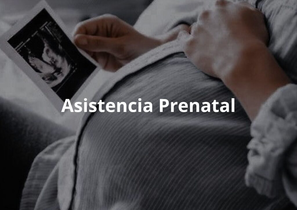 Agregar un subtítulo