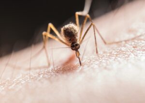 Prevención de malaria